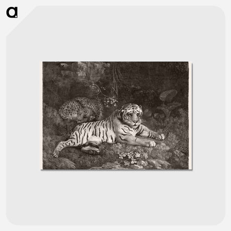 アートポストカード-A Tiger and a Sleeping Leopard
 - ジョージ スタッブス Postcard.