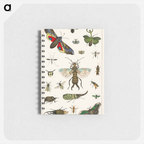 アートメモ帳-Insects from Animated Nature
 - ゴールドスミスの生き生きとした自然 Memo.