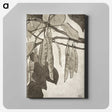 1-41_Hannah-Borger-Overbeck_canvas