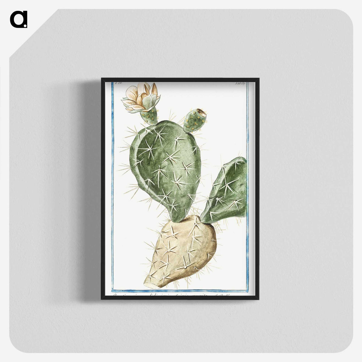 1-41_Hortus-Romanus-Botanical-Plates_blk-crop