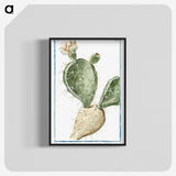 1-41_Hortus-Romanus-Botanical-Plates_blk-crop