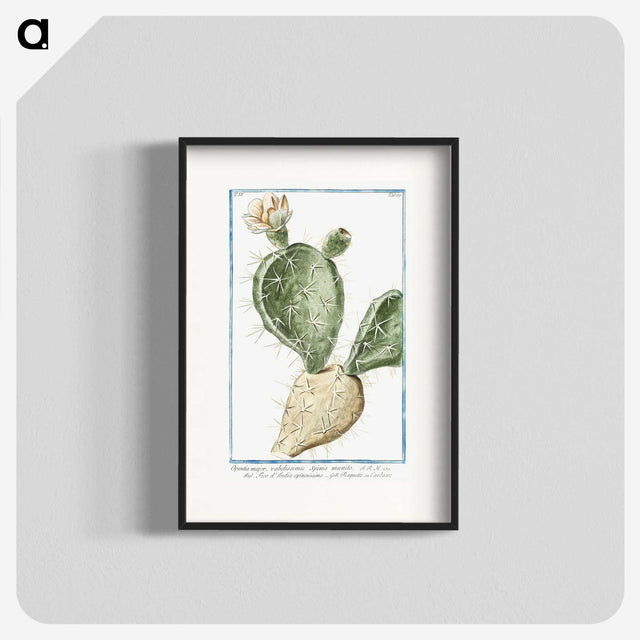 1-41_Hortus-Romanus-Botanical-Plates_blk