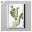 1-41_Hortus-Romanus-Botanical-Plates_canvas