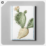 1-41_Hortus-Romanus-Botanical-Plates_canvas