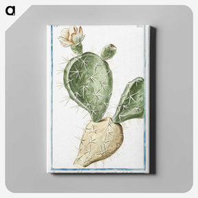 1-41_Hortus-Romanus-Botanical-Plates_canvas