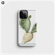 1-41_Hortus-Romanus-Botanical-Plates_phone