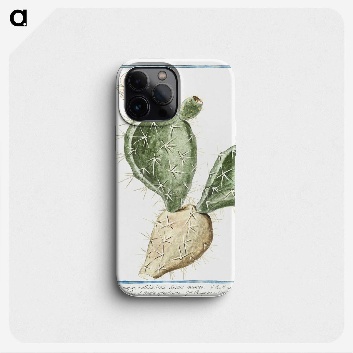 1-41_Hortus-Romanus-Botanical-Plates_phone