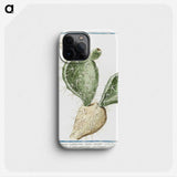 1-41_Hortus-Romanus-Botanical-Plates_phone