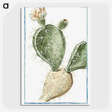 1-41_Hortus-Romanus-Botanical-Plates_picture-crop