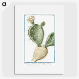 1-41_Hortus-Romanus-Botanical-Plates_picture