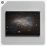 アートパネル-Hubble Nets a Subtle Swarm
 - ハッブル画像 Canvas.