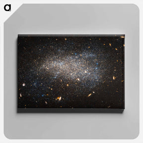 アートパネル-Hubble Nets a Subtle Swarm
 - ハッブル画像 Canvas.