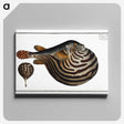 1-41_Ichtyologie-ou-Histoire-naturelle_canvas
