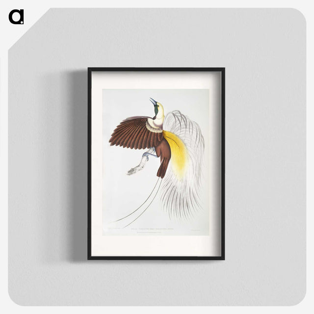 1-41_Indian-Zoology_blk
