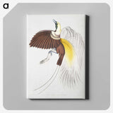 1-41_Indian-Zoology_canvas
