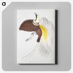 1-41_Indian-Zoology_canvas