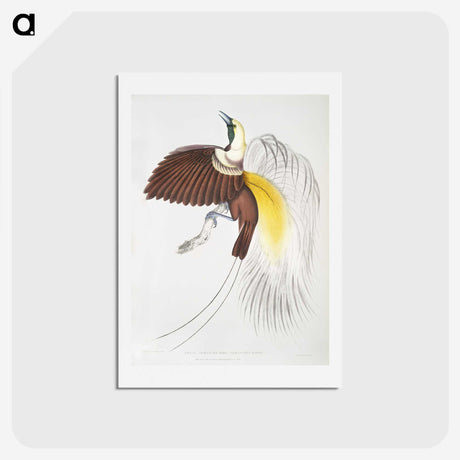 1-41_Indian-Zoology_hagaki