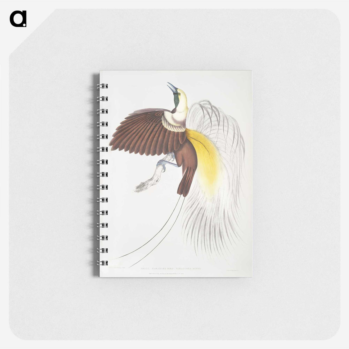 1-41_Indian-Zoology_memo