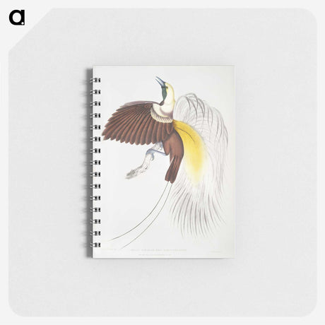 1-41_Indian-Zoology_memo