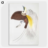 1-41_Indian-Zoology_picture-crop