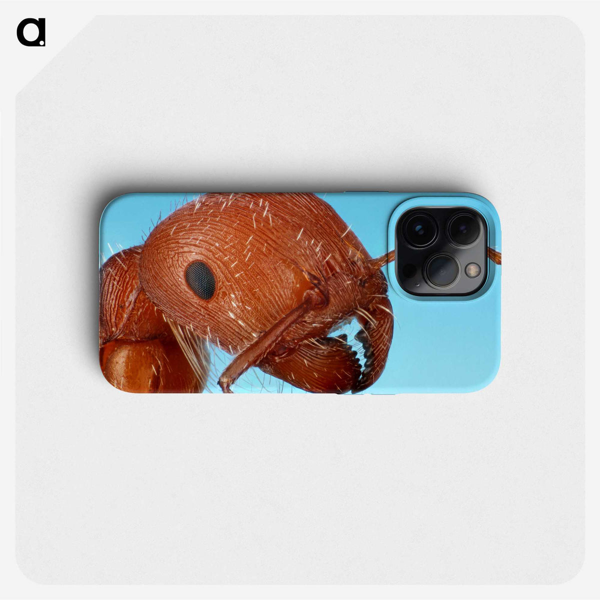 1-41_Insects-Unlocked-Project_phone