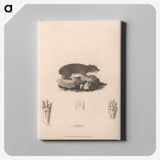 1-41_James-Heath_canvas