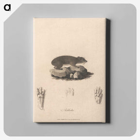1-41_James-Heath_canvas
