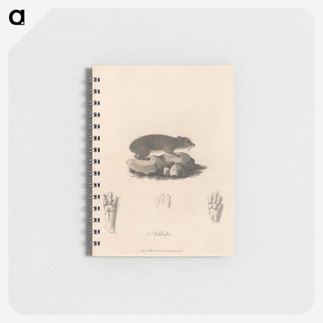 1-41_James-Heath_memo