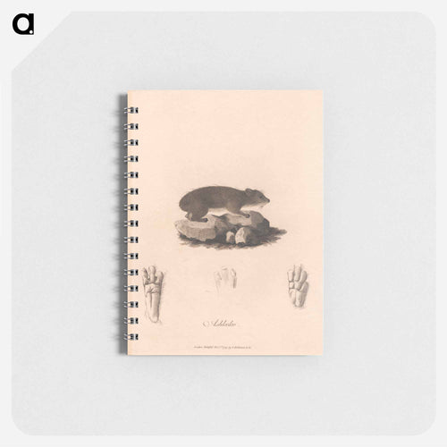 Ashkoko
 - ジェームス ヒース Memo.