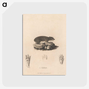1-41_James-Heath_postcard