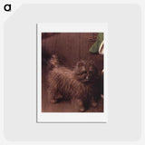 1-41_Jan-van-Eyck_hagaki