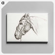 アートパネル-Head of a horse - ジャン ベルナール Canvas.