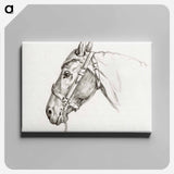アートパネル-Head of a horse - ジャン ベルナール Canvas.