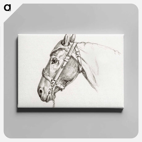 アートパネル-Head of a horse - ジャン ベルナール Canvas.