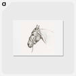 アートポストカード-Head of a horse - ジャン ベルナール Postcard.