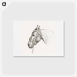 アートポストカード-Head of a horse - ジャン ベルナール Postcard.