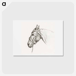 アートポストカード-Head of a horse - ジャン ベルナール Postcard.