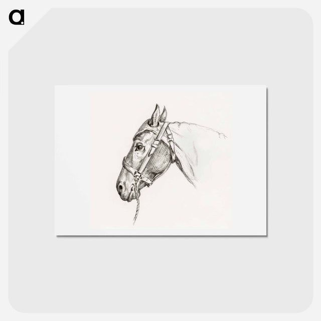 アートポストカード-Head of a horse - ジャン ベルナール Postcard.