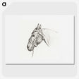 1-41_Jean-Bernard_picture