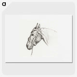 1-41_Jean-Bernard_picture