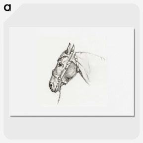 1-41_Jean-Bernard_picture