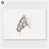 Head of a horse - Jean Bernard Poster.
