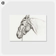 1-41_Jean-Bernard_postcard