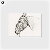 アートポストカード-Head of a horse - ジャン ベルナール Postcard.