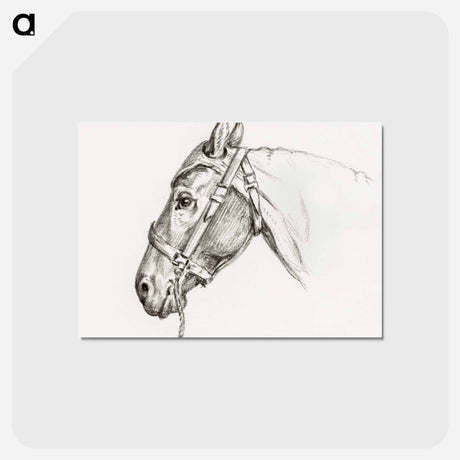 アートポストカード-Head of a horse - ジャン ベルナール Postcard.
