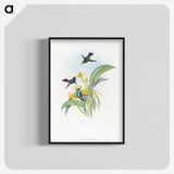 1-41_John-Gould_blk-crop