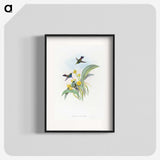 1-41_John-Gould_blk