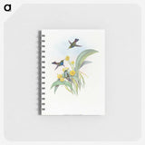 1-41_John-Gould_memo