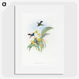 1-41_John-Gould_picture