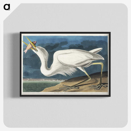 1-41_John-James-Audubon_blk-crop